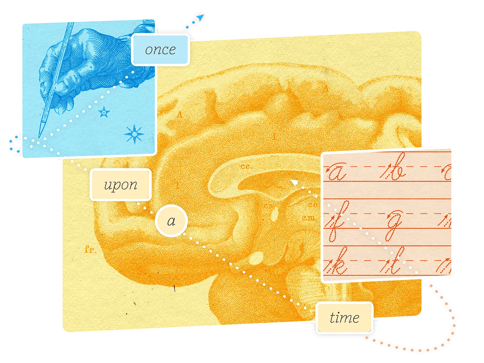 Ilustración de un cerebro con elementos vintage: una mano escribiendo "once", letra cursiva "time" y secciones etiquetadas "upon" y "a" conectadas por líneas de puntos.