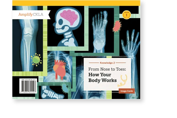Educational book cover titled "From Nose to Toes: How Your Body Works" featuring X-ray images and illustrations of human anatomy.