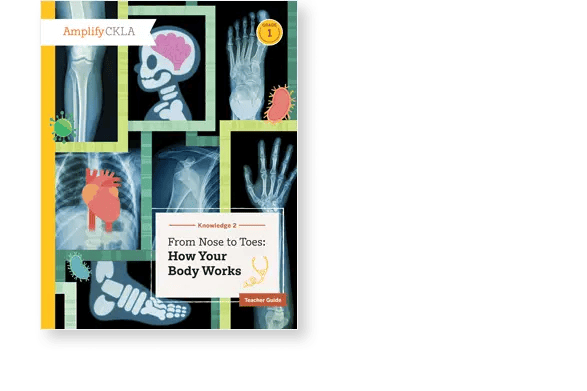 Book cover titled "From Nose to Toes: How Your Body Works" featuring X-ray images of body parts.