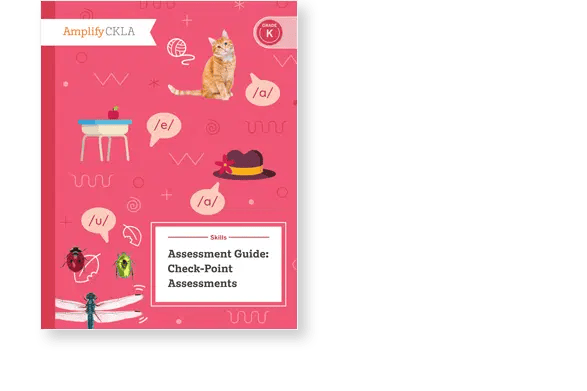 Cover of a book titled "Assessment Guide: Check-Point Assessments" with images of a cat, dragonfly, bugs, and a hat on a red background.
